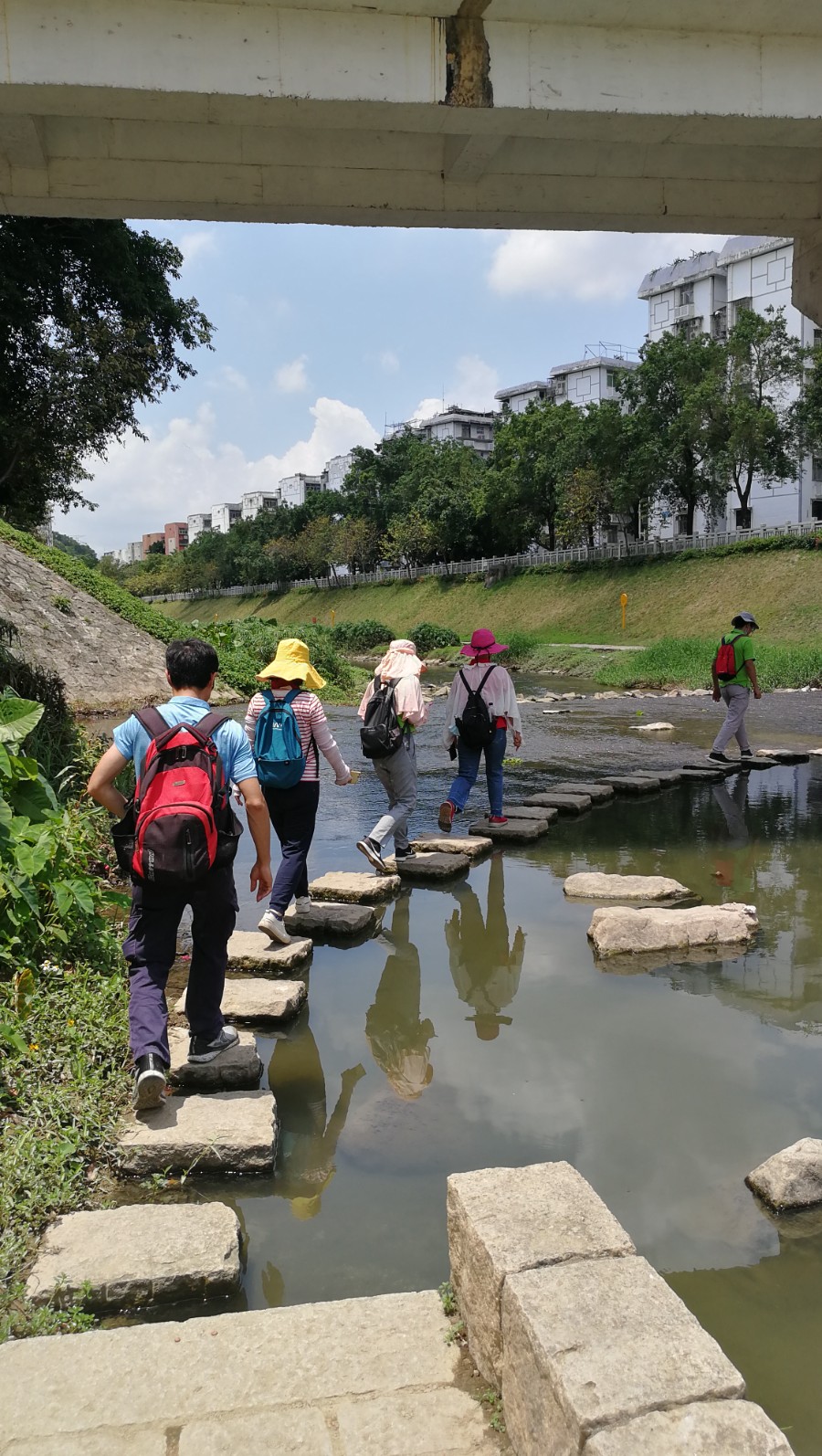 世界环境日 | 美丽中国，绿源志愿者在行动