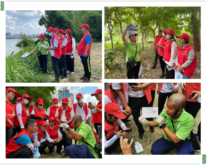 共爱珠江 | 惠州和深圳两地青年环保志愿服务组交流合作