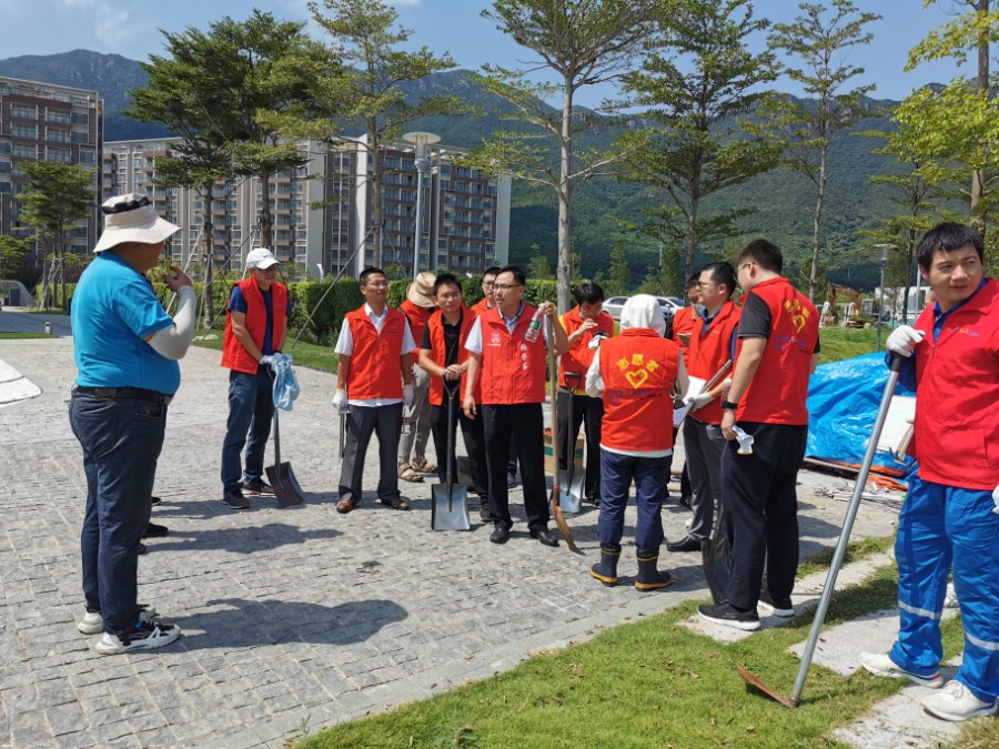 滨海湿地 |  白沙湾西岸红树林保育活动回顾