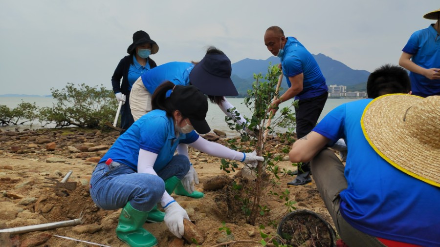 活动回顾 | ”生态环保 青春先行“润杨集团参与红树林保育行动