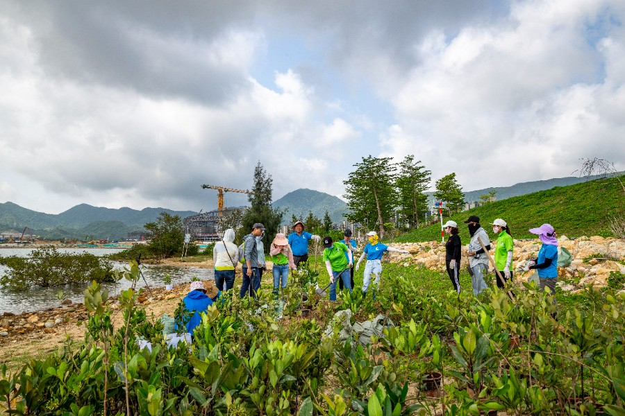 活动回顾 | ”生态环保 青春先行“ 坝光开发署员工参与红树林保育