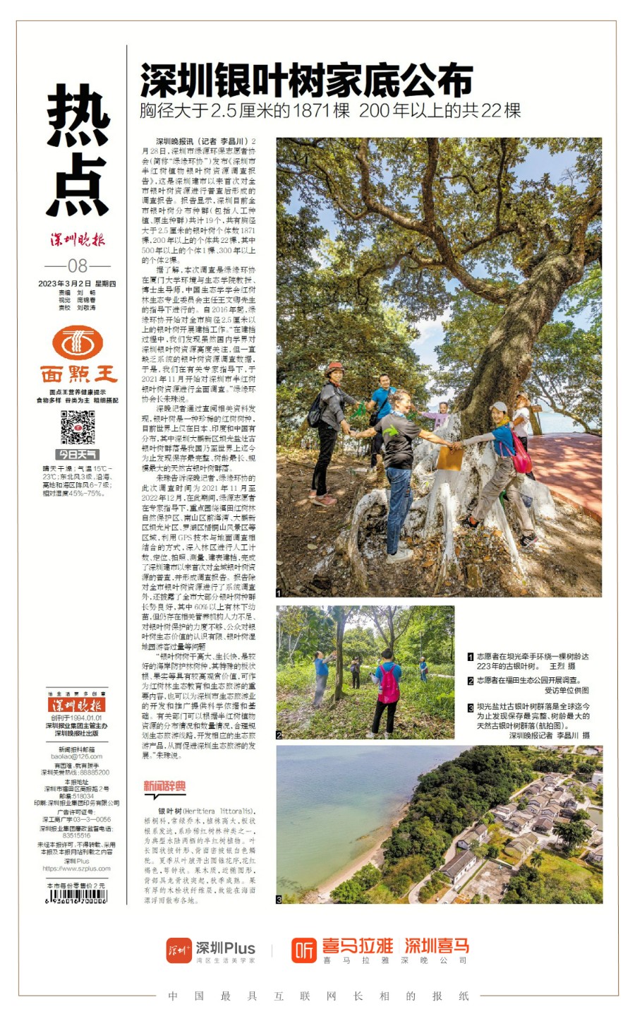 发布 | 《深圳市半红树植物银叶树资源调查报告2022》